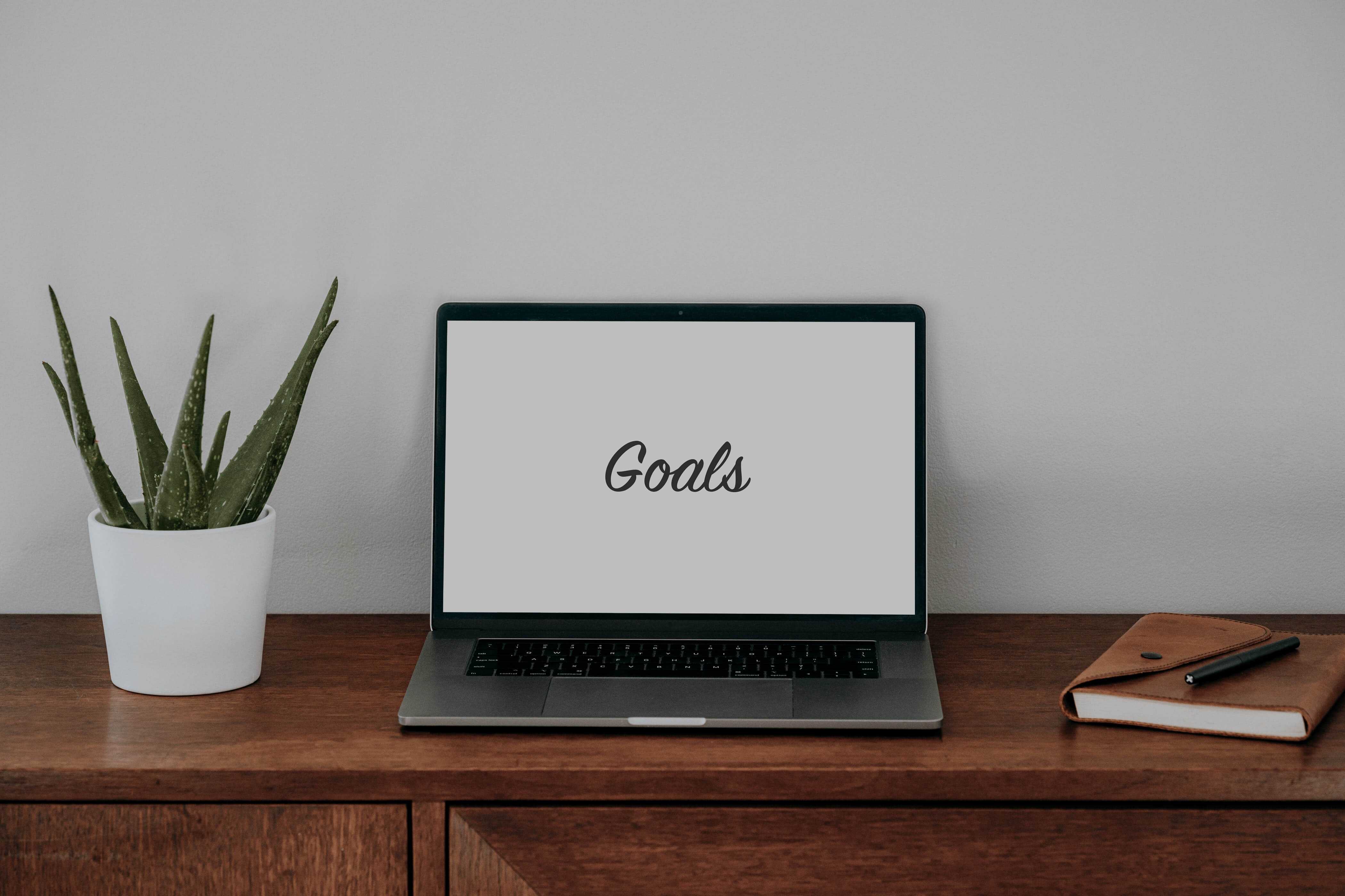 Establish Goals and Objectives